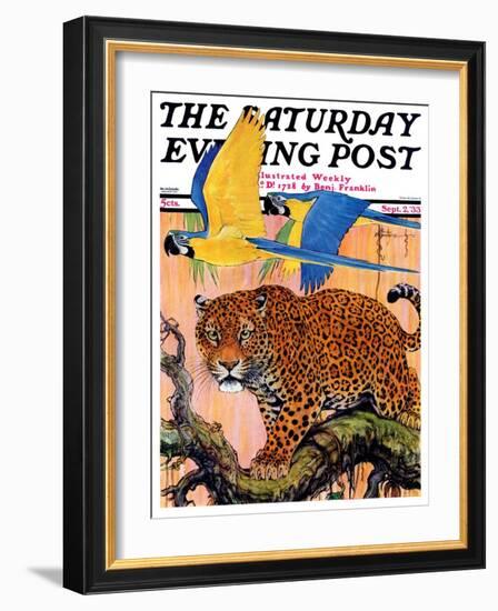 "Leopard and Parrots in Jungle," Saturday Evening Post Cover, September 2, 1933-Paul Bransom-Framed Giclee Print