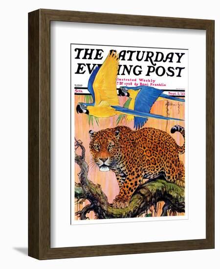 "Leopard and Parrots in Jungle," Saturday Evening Post Cover, September 2, 1933-Paul Bransom-Framed Giclee Print