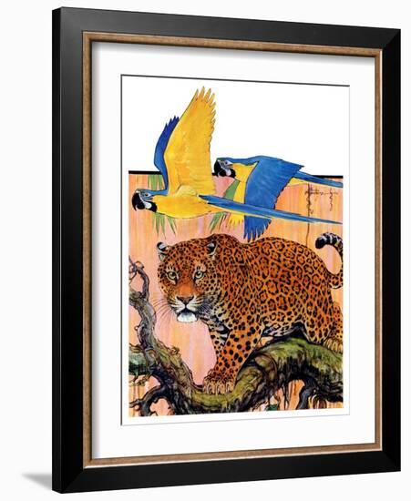 "Leopard and Parrots in Jungle,"September 2, 1933-Paul Bransom-Framed Giclee Print