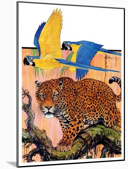 "Leopard and Parrots in Jungle,"September 2, 1933-Paul Bransom-Mounted Giclee Print