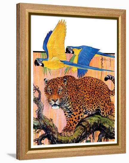 "Leopard and Parrots in Jungle,"September 2, 1933-Paul Bransom-Framed Premier Image Canvas