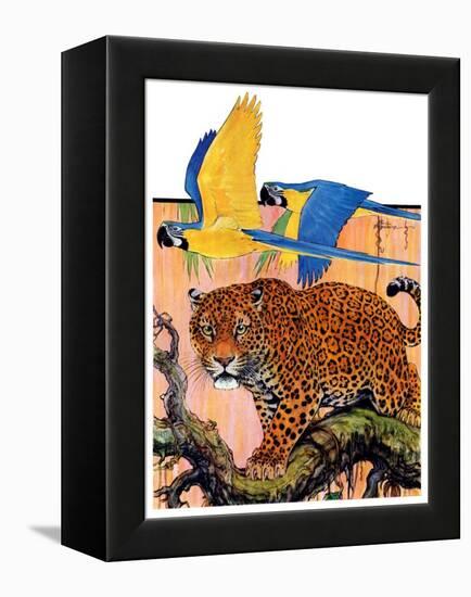 "Leopard and Parrots in Jungle,"September 2, 1933-Paul Bransom-Framed Premier Image Canvas