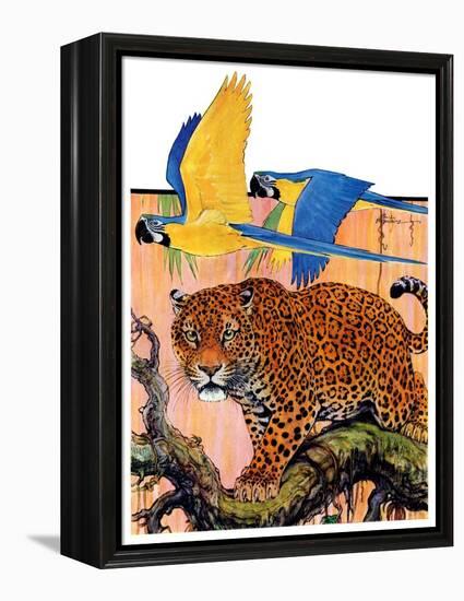 "Leopard and Parrots in Jungle,"September 2, 1933-Paul Bransom-Framed Premier Image Canvas