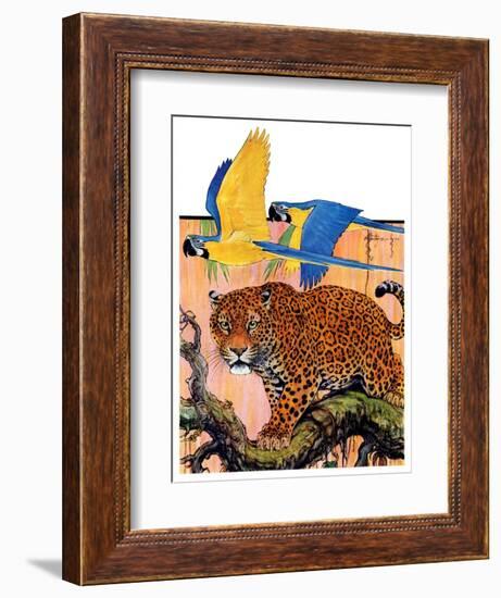 "Leopard and Parrots in Jungle,"September 2, 1933-Paul Bransom-Framed Giclee Print