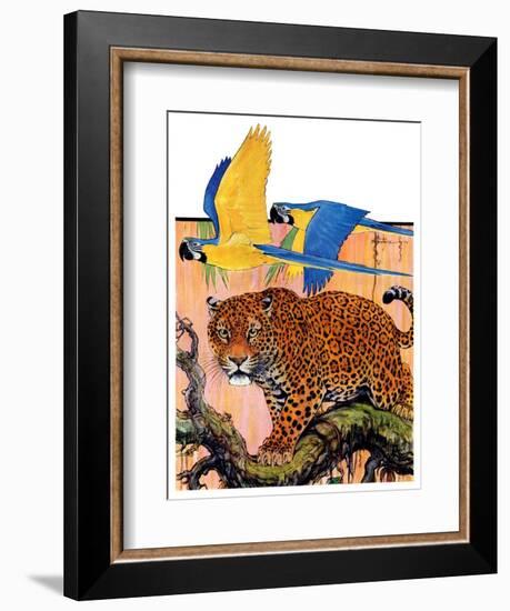 "Leopard and Parrots in Jungle,"September 2, 1933-Paul Bransom-Framed Giclee Print