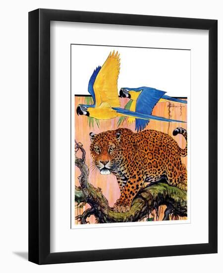 "Leopard and Parrots in Jungle,"September 2, 1933-Paul Bransom-Framed Giclee Print