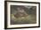 Leopard and Serpent, 1810–75-Antoine Louis Barye-Framed Giclee Print