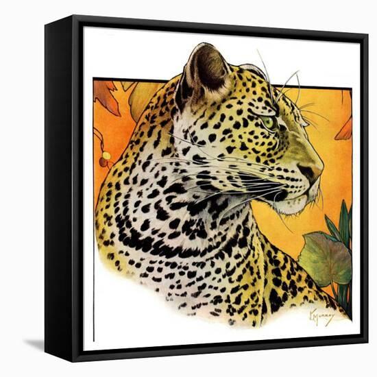 "Leopard,"August 29, 1931-Jack Murray-Framed Premier Image Canvas