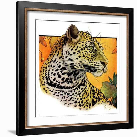 "Leopard,"August 29, 1931-Jack Murray-Framed Premium Giclee Print