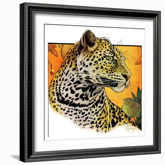 "Leopard,"August 29, 1931-Jack Murray-Framed Premium Giclee Print