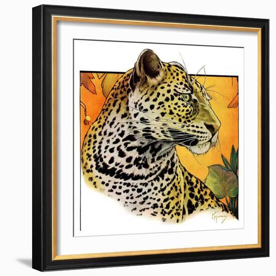 "Leopard,"August 29, 1931-Jack Murray-Framed Premium Giclee Print