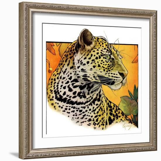 "Leopard,"August 29, 1931-Jack Murray-Framed Giclee Print