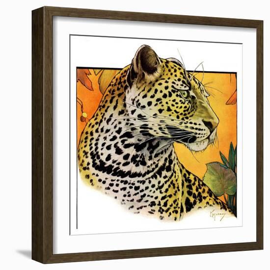 "Leopard,"August 29, 1931-Jack Murray-Framed Giclee Print