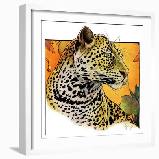"Leopard,"August 29, 1931-Jack Murray-Framed Giclee Print