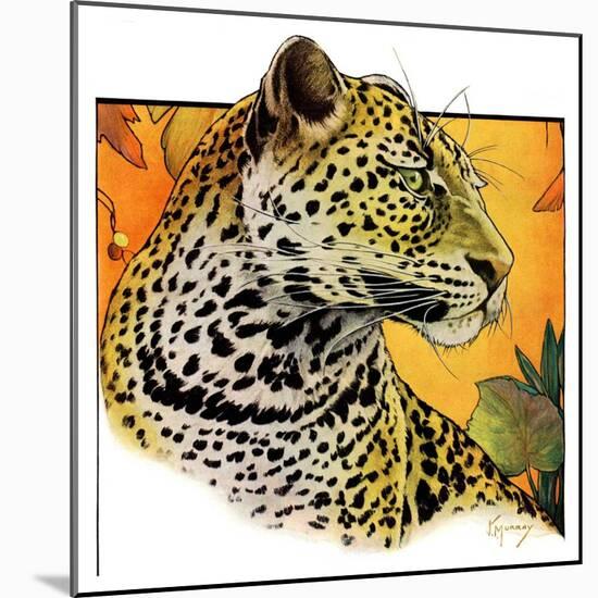 "Leopard,"August 29, 1931-Jack Murray-Mounted Giclee Print