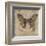 Leopard Butterfly-Jennette Brice-Framed Art Print