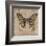 Leopard Butterfly-Jennette Brice-Framed Art Print