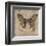 Leopard Butterfly-Jennette Brice-Framed Art Print