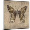 Leopard Butterfly-Jennette Brice-Mounted Art Print