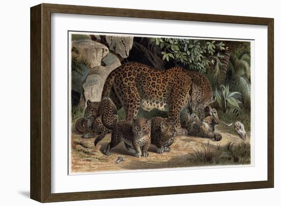 Leopard by Alfred Edmund Brehm-Stefano Bianchetti-Framed Giclee Print