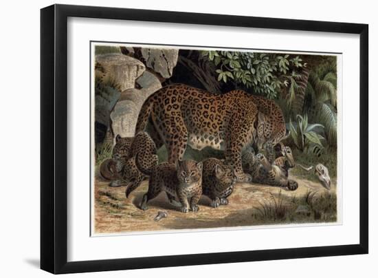 Leopard by Alfred Edmund Brehm-Stefano Bianchetti-Framed Giclee Print