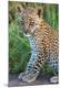 Photographic Print