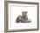 Leopard Cub-Sarah Stribbling-Framed Art Print