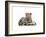 Leopard Cub-Sarah Stribbling-Framed Art Print