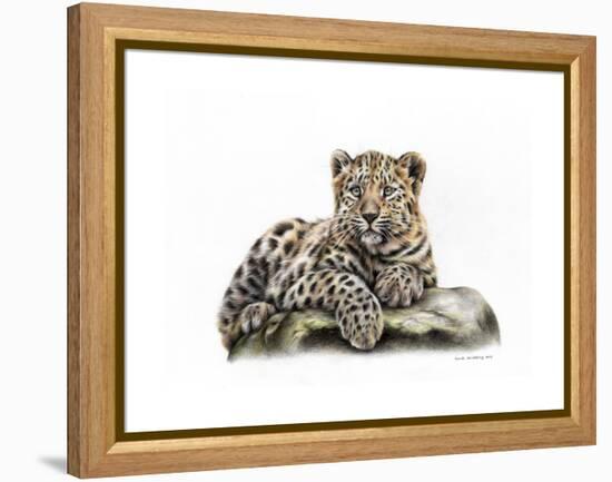 Leopard Cub-Sarah Stribbling-Framed Stretched Canvas