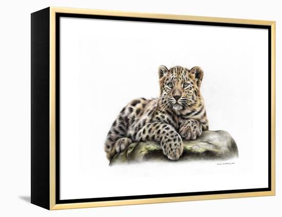 Leopard Cub-Sarah Stribbling-Framed Stretched Canvas