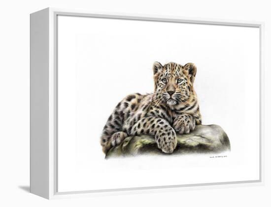 Leopard Cub-Sarah Stribbling-Framed Stretched Canvas