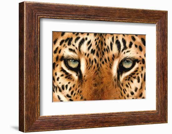 Leopard Eyes Painting-Sarah Stribbling-Framed Art Print