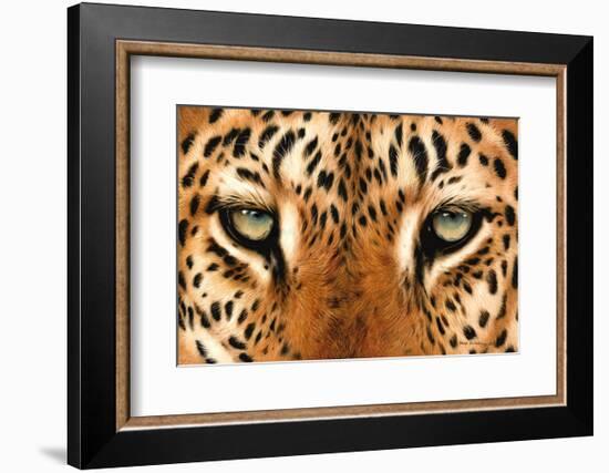 Leopard Eyes Painting-Sarah Stribbling-Framed Art Print