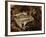 Leopard Frog, Florida, USA-Maresa Pryor-Framed Photographic Print