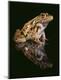 Premium Photographic Print