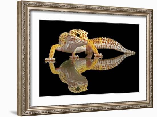 Leopard Gecko-Dikky Oesin-Framed Giclee Print