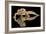 Leopard Gecko-Dikky Oesin-Framed Giclee Print