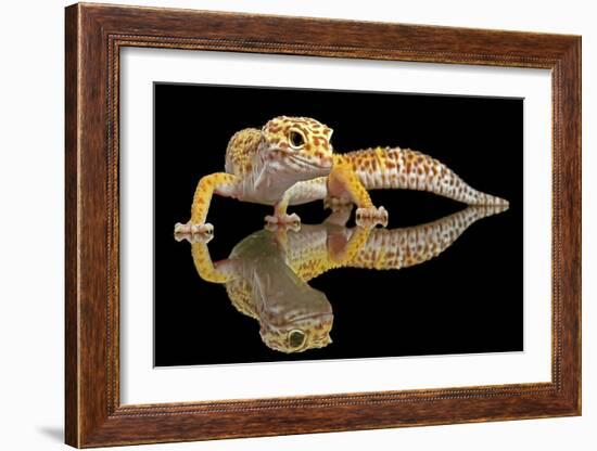 Leopard Gecko-Dikky Oesin-Framed Giclee Print