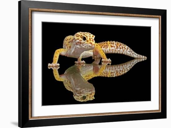 Leopard Gecko-Dikky Oesin-Framed Giclee Print