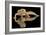 Leopard Gecko-Dikky Oesin-Framed Giclee Print