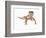 Leopard Gecko-Martin Harvey-Framed Photographic Print