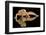 Leopard Gecko-Dikky Oesin-Framed Photographic Print