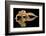 Leopard Gecko-Dikky Oesin-Framed Photographic Print