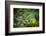 leopard hiding in dense foliage, bardia national park, nepal-karine aigner-Framed Photographic Print