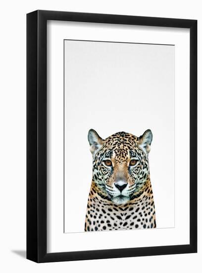 Leopard II-Tai Prints-Framed Art Print