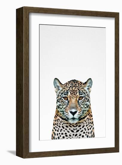 Leopard II-Tai Prints-Framed Art Print