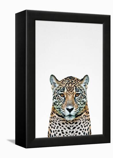 Leopard II-Tai Prints-Framed Stretched Canvas