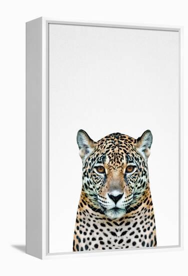 Leopard II-Tai Prints-Framed Stretched Canvas