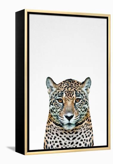 Leopard II-Tai Prints-Framed Stretched Canvas