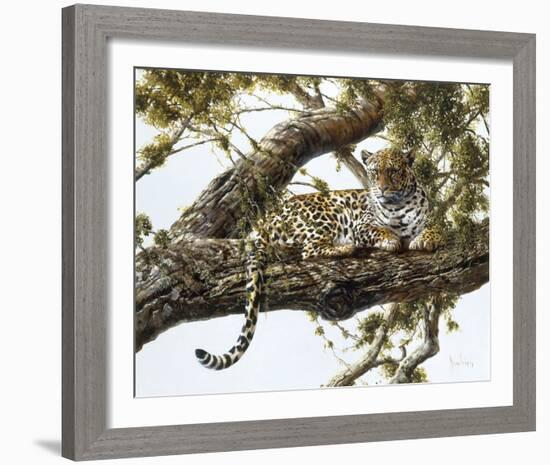 Leopard in a Tree I-Spencer Hodge-Framed Giclee Print